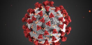 COVID-19 virus