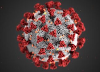 COVID-19 virus