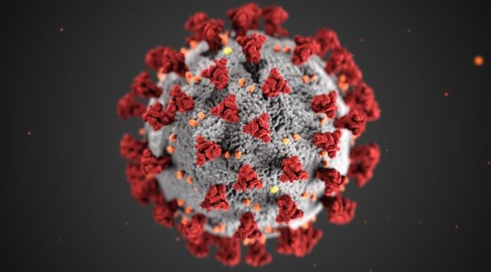 COVID-19 virus