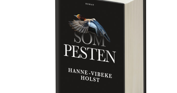 Pesten - ronan