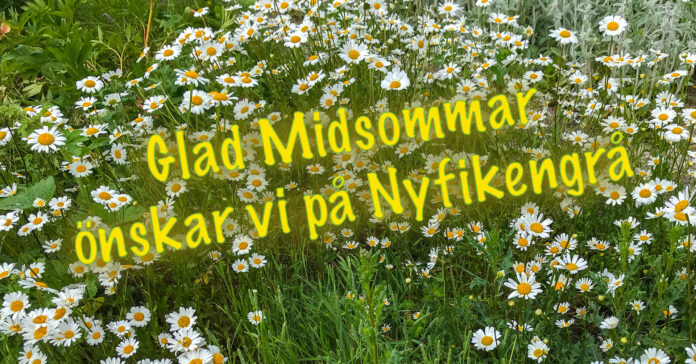 Ill: Prästkrage - Jan Zettergren